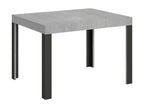 Table grise, 80 x 120 cm